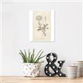 Picture of Flower Sketch III _GroupedProduct_Rectangle_Portrait_Canvas_