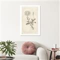 Picture of Flower Sketch III _GroupedProduct_Rectangle_Portrait_Canvas_