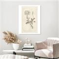 Picture of Flower Sketch III _GroupedProduct_Rectangle_Portrait_Canvas_