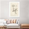 Picture of Flower Sketch III _GroupedProduct_Rectangle_Portrait_Canvas_