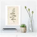 Picture of Flower Sketch IV _GroupedProduct_Rectangle_Portrait_Canvas_