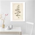 Picture of Flower Sketch IV _GroupedProduct_Rectangle_Portrait_Canvas_