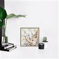 Picture of Soft Spring Pop II _GroupedProduct_Square_Canvas_Framed_