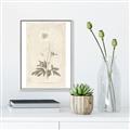 Picture of Flower Sketch I _GroupedProduct_Rectangle_Portrait_Canvas_Framed_
