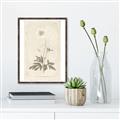 Picture of Flower Sketch I _GroupedProduct_Rectangle_Portrait_Canvas_Framed_
