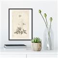 Picture of Flower Sketch I _GroupedProduct_Rectangle_Portrait_Canvas_Framed_