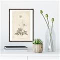 Picture of Flower Sketch I _GroupedProduct_Rectangle_Portrait_Canvas_Framed_