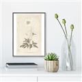 Picture of Flower Sketch I _GroupedProduct_Rectangle_Portrait_Canvas_Framed_