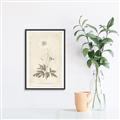 Picture of Flower Sketch I _GroupedProduct_Rectangle_Portrait_Canvas_Framed_