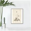 Picture of Flower Sketch I _GroupedProduct_Rectangle_Portrait_Canvas_Framed_