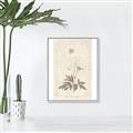 Picture of Flower Sketch I _GroupedProduct_Rectangle_Portrait_Canvas_Framed_