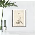 Picture of Flower Sketch I _GroupedProduct_Rectangle_Portrait_Canvas_Framed_