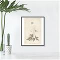 Picture of Flower Sketch I _GroupedProduct_Rectangle_Portrait_Canvas_Framed_