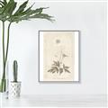 Picture of Flower Sketch I _GroupedProduct_Rectangle_Portrait_Canvas_Framed_