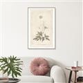 Picture of Flower Sketch I _GroupedProduct_Rectangle_Portrait_Canvas_Framed_
