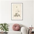 Picture of Flower Sketch I _GroupedProduct_Rectangle_Portrait_Canvas_Framed_