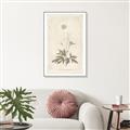 Picture of Flower Sketch I _GroupedProduct_Rectangle_Portrait_Canvas_Framed_