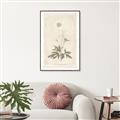 Picture of Flower Sketch I _GroupedProduct_Rectangle_Portrait_Canvas_Framed_