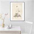 Picture of Flower Sketch I _GroupedProduct_Rectangle_Portrait_Canvas_Framed_