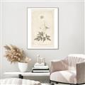 Picture of Flower Sketch I _GroupedProduct_Rectangle_Portrait_Canvas_Framed_
