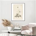 Picture of Flower Sketch I _GroupedProduct_Rectangle_Portrait_Canvas_Framed_