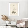 Picture of Flower Sketch I _GroupedProduct_Rectangle_Portrait_Canvas_Framed_