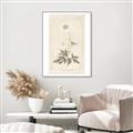 Picture of Flower Sketch I _GroupedProduct_Rectangle_Portrait_Canvas_Framed_