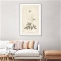 Picture of Flower Sketch I _GroupedProduct_Rectangle_Portrait_Canvas_Framed_