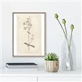 Picture of Flower Sketch II _GroupedProduct_Rectangle_Portrait_Canvas_Framed_