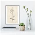 Picture of Flower Sketch II _GroupedProduct_Rectangle_Portrait_Canvas_Framed_