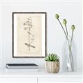 Picture of Flower Sketch II _GroupedProduct_Rectangle_Portrait_Canvas_Framed_
