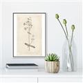 Picture of Flower Sketch II _GroupedProduct_Rectangle_Portrait_Canvas_Framed_