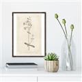 Picture of Flower Sketch II _GroupedProduct_Rectangle_Portrait_Canvas_Framed_