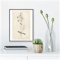 Picture of Flower Sketch II _GroupedProduct_Rectangle_Portrait_Canvas_Framed_