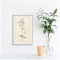 Picture of Flower Sketch II _GroupedProduct_Rectangle_Portrait_Canvas_Framed_