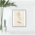 Picture of Flower Sketch II _GroupedProduct_Rectangle_Portrait_Canvas_Framed_