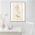 Picture of Flower Sketch II _GroupedProduct_Rectangle_Portrait_Canvas_Framed_
