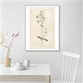 Picture of Flower Sketch II _GroupedProduct_Rectangle_Portrait_Canvas_Framed_