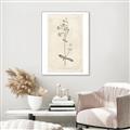 Picture of Flower Sketch II _GroupedProduct_Rectangle_Portrait_Canvas_Framed_
