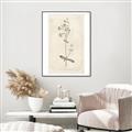 Picture of Flower Sketch II _GroupedProduct_Rectangle_Portrait_Canvas_Framed_