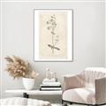 Picture of Flower Sketch II _GroupedProduct_Rectangle_Portrait_Canvas_Framed_