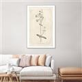 Picture of Flower Sketch II _GroupedProduct_Rectangle_Portrait_Canvas_Framed_