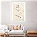 Picture of Flower Sketch II _GroupedProduct_Rectangle_Portrait_Canvas_Framed_