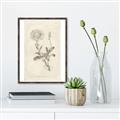 Picture of Flower Sketch III _GroupedProduct_Rectangle_Portrait_Canvas_Framed_