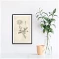 Picture of Flower Sketch III _GroupedProduct_Rectangle_Portrait_Canvas_Framed_