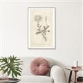 Picture of Flower Sketch III _GroupedProduct_Rectangle_Portrait_Canvas_Framed_