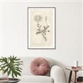 Picture of Flower Sketch III _GroupedProduct_Rectangle_Portrait_Canvas_Framed_