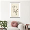 Picture of Flower Sketch III _GroupedProduct_Rectangle_Portrait_Canvas_Framed_