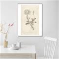 Picture of Flower Sketch III _GroupedProduct_Rectangle_Portrait_Canvas_Framed_
