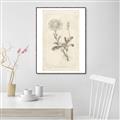 Picture of Flower Sketch III _GroupedProduct_Rectangle_Portrait_Canvas_Framed_